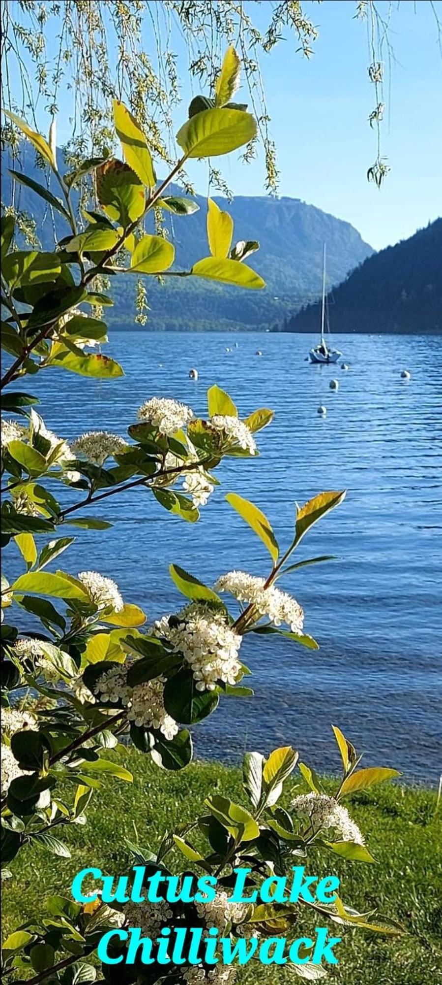 Private 2 Bedrooms Suite Near Hwy 1, Cultus Lake, Heritage Park, Fishing, Coliseum Chilliwack Camera foto